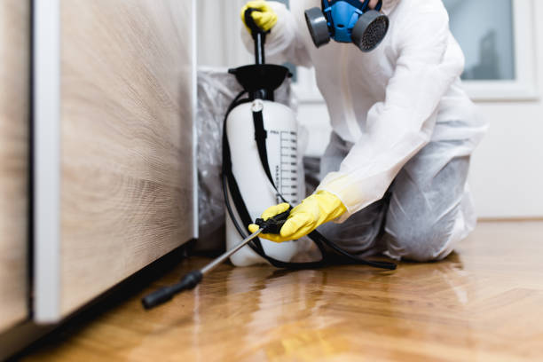 Best Local Pest Control Services  in Camden, TN