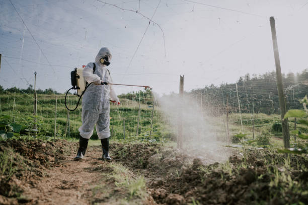 Pest Control Cost in Camden, TN