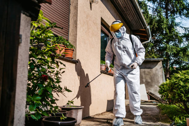 Best Wasp Removal Services  in Camden, TN