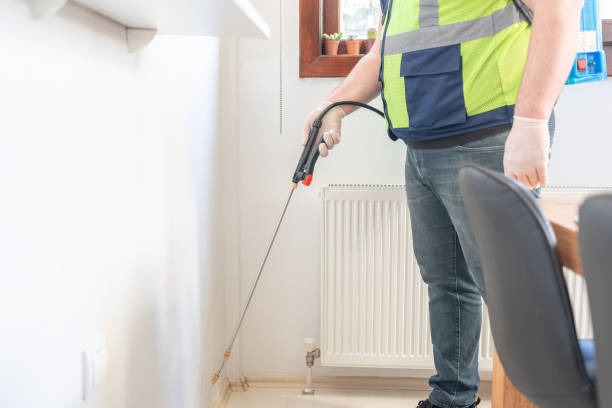 Best Rat Extermination Near Me  in Camden, TN