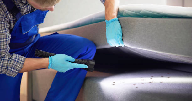 Best Exterminator Services  in Camden, TN