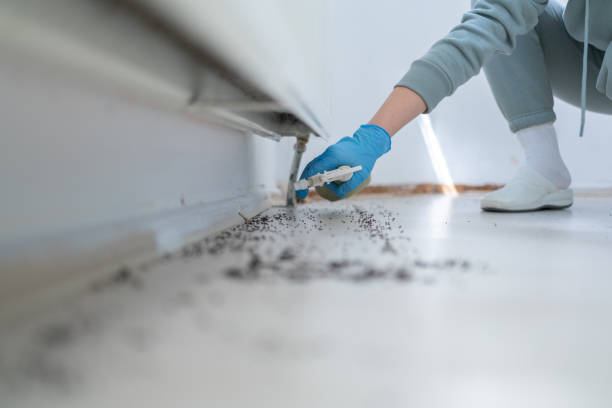 Best Pest Control Near Me  in Camden, TN
