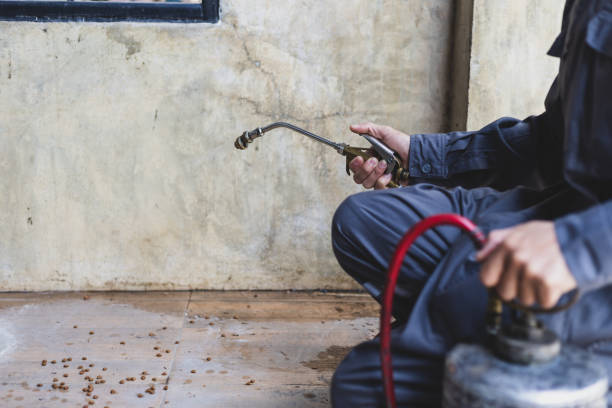 Best Best Pest Control Companies  in Camden, TN