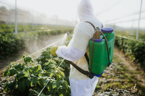 Best Termite Control Services  in Camden, TN